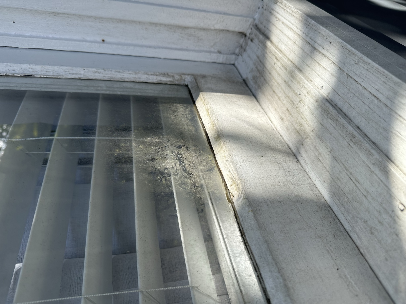 Window sill and track with mildew and debris before detail